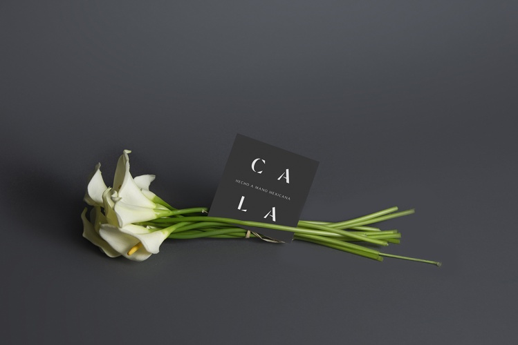Cala家居用品公司vi設(shè)計,logo字體設(shè)計
