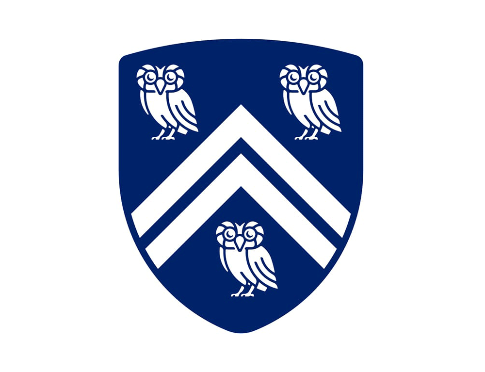 萊斯大學(xué)vi設(shè)計(jì)，品牌形象改造，logo設(shè)計(jì)