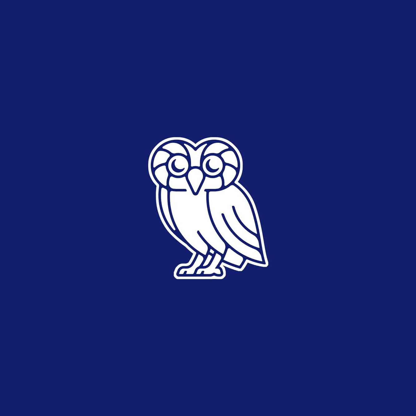 萊斯大學(xué)vi設(shè)計(jì)，品牌形象改造，logo設(shè)計(jì)